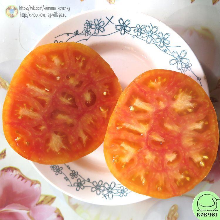 37. ПЛОЩАДЬ СВЯТОГО ИОАННА ДЕ БОРЕГАРД (17)_1 2024г. Семена томата Площадь святого Иоанна де Борегард