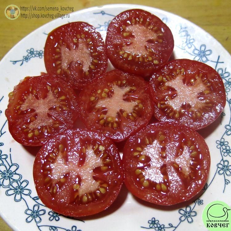 49. Финский карлик (8)_1 2024г. Семена томата Финский карлик