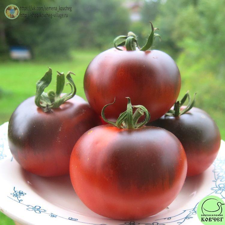 5. Бэст синий (13)_1 2024г. Семена томата Бэст синий