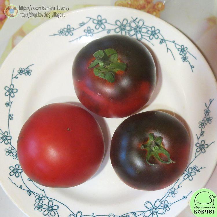 5. Бэст синий (15)_1 2024г. Семена томата Бэст синий