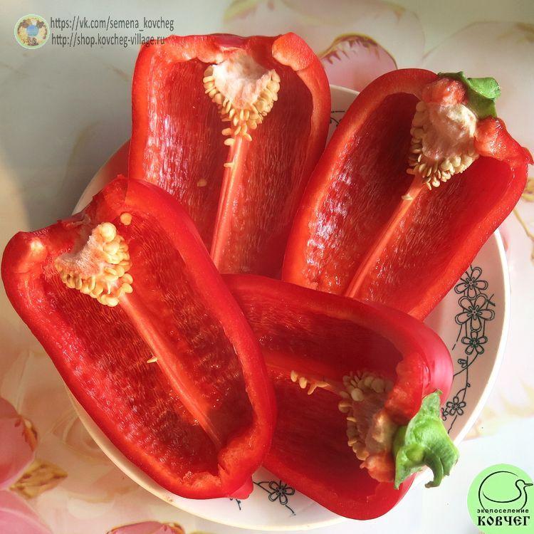 П13. Гранова (6)_1 2024г. Семена перца сладкого Гранова