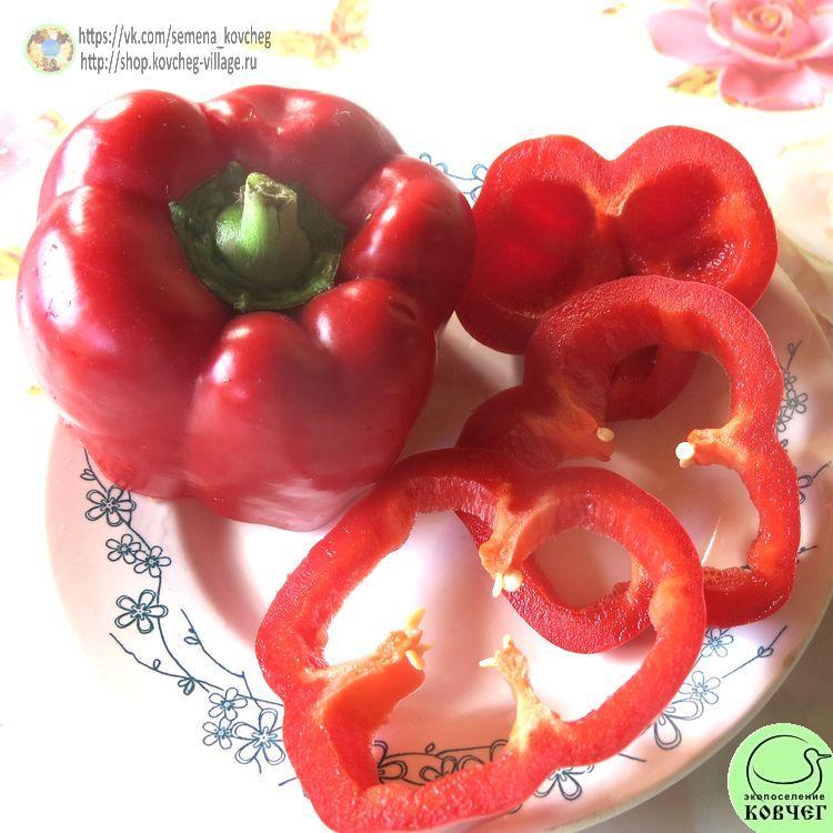 П21. Красный бык (10)_1 2024г. Семена перца сладкого Красный бык