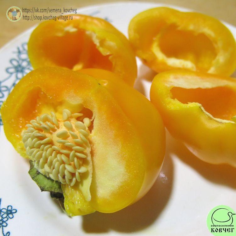 П33. Флорида 2_1 2024г. Семена перца сладкого Флорида