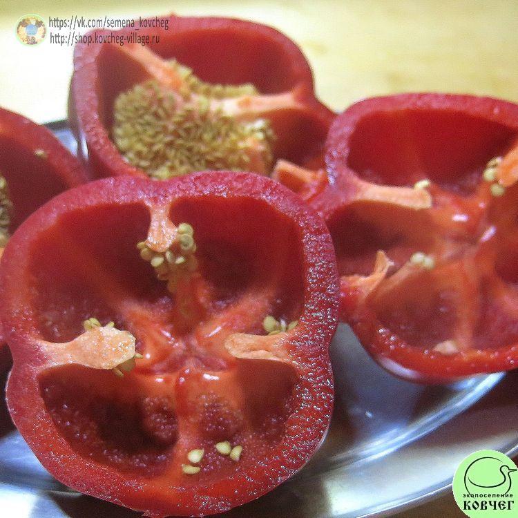 П6. Геракл (7)_1 2024г. Семена перца сладкого Геракл