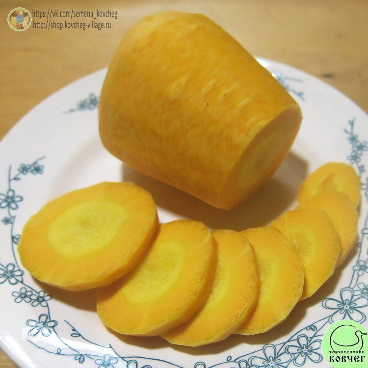 Морковь Сахарная соломка (4)_1 2023г. Семена моркови Сахарная соломка