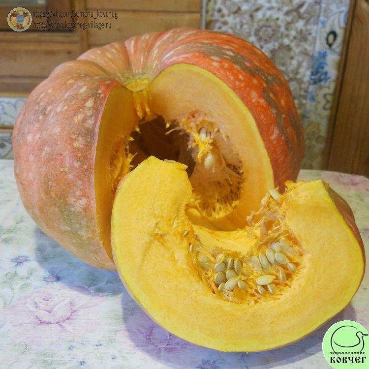 т15. Иран (9)_1 2024г. Семена тыквы Иран