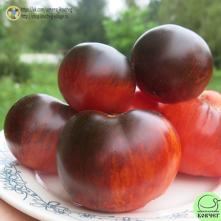 15. Королева ночи_1 2025г. Семена томата Королева ночи