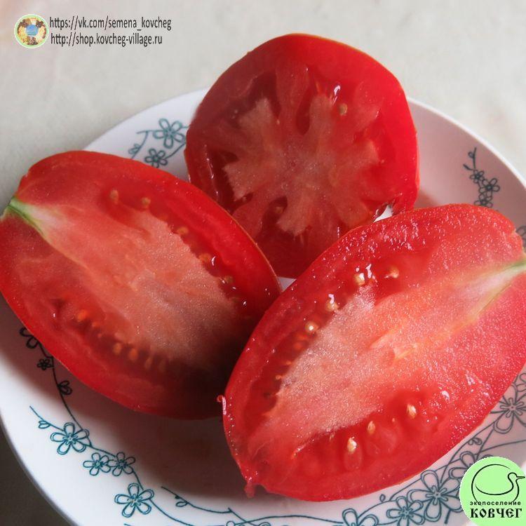 16. Королевский пингвин (5)_1 2025г. Семена томата Королевский пингвин