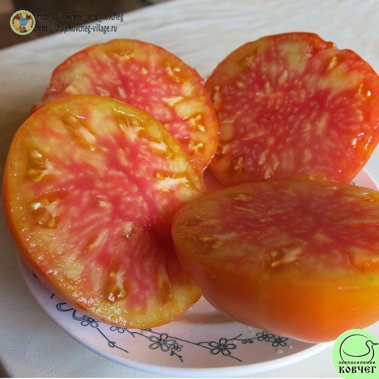 26. Полосатый синка (13)_1 2025г. Семена томата Полосатый синка