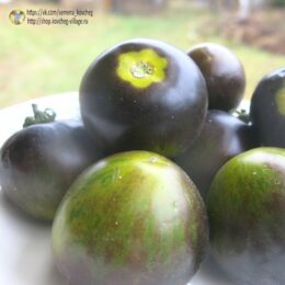 2025г. Семена томата Сине-зелёная зебра