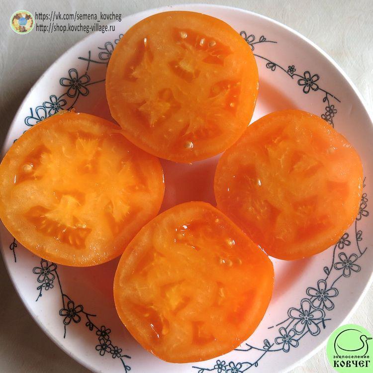 38. Хурма (15)_1 2025г. Семена томата Хурма