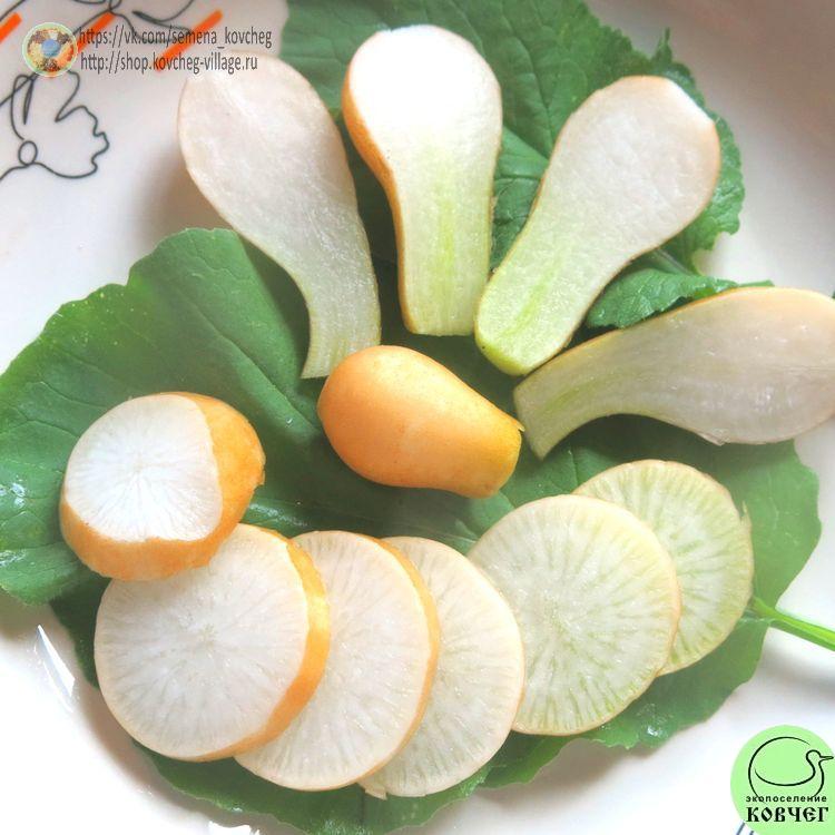 Редис Золотой запас (11)_1 2023г. Семена редиса Золотой запас