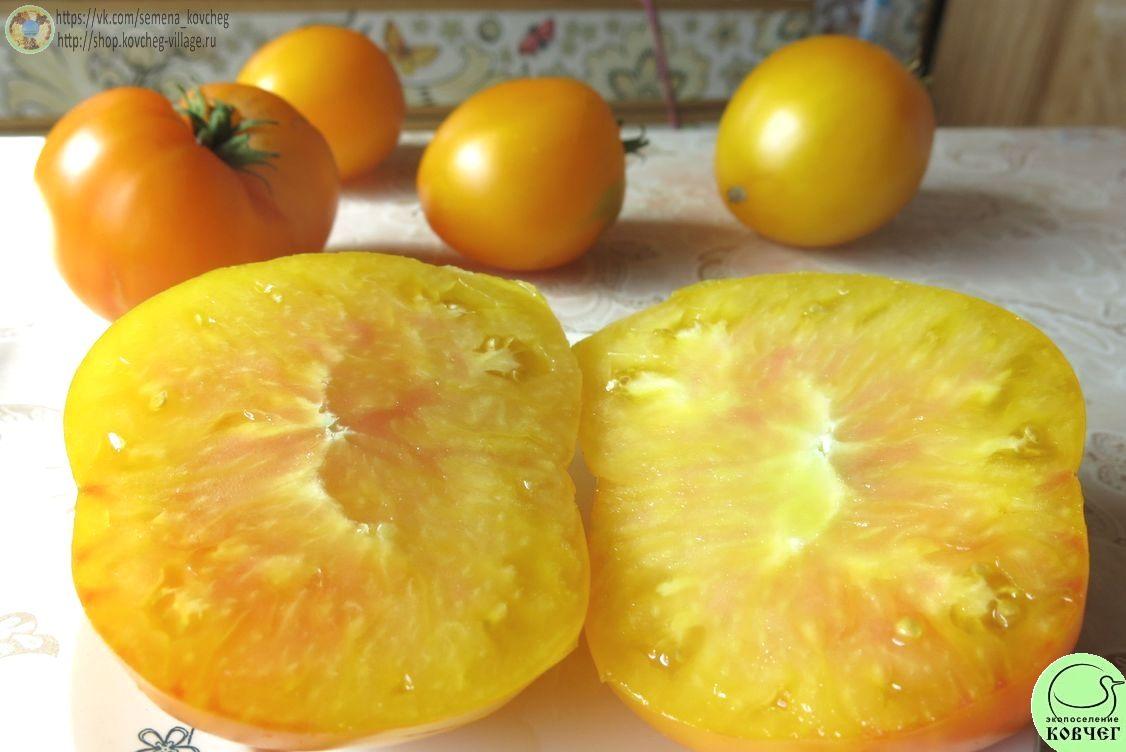 31. Самохвал (8)_1 2020г. Семена томата Самохвал