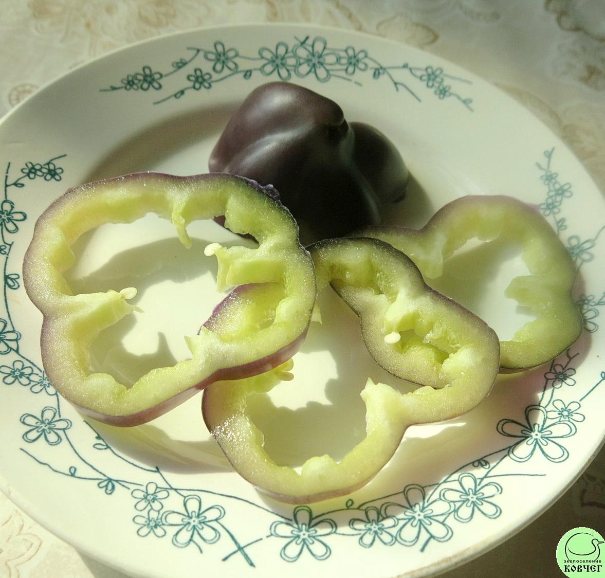 П20 Сирень (10) 2019г. Семена перца сладкого Сирень (от Юли)