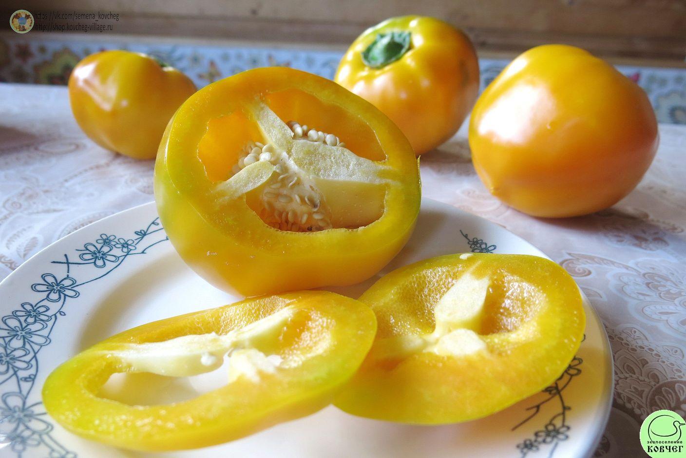 Перец следкий 7. Гогошар Ю (17)_2_1 2019г. Семена перца сладкого Гогошар жёлтый