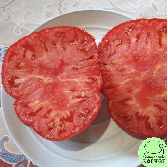 Томат 3 Рекордсмен (10) 2023г. Семена томата Рекордсмен