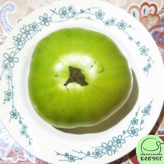 Томат 32 Малахитовая шкатулка (5) 2023г. Семена томата Малахитовая шкатулка