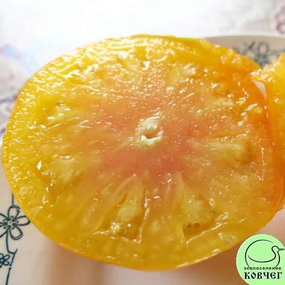 Томат 54 Самохвал (3) 2020г. Семена томата Самохвал