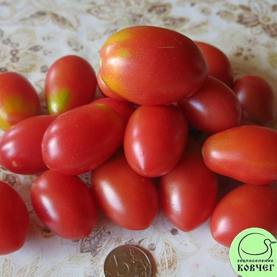 Чио-чио-сан 2 Семена томата Чио-чио-сан