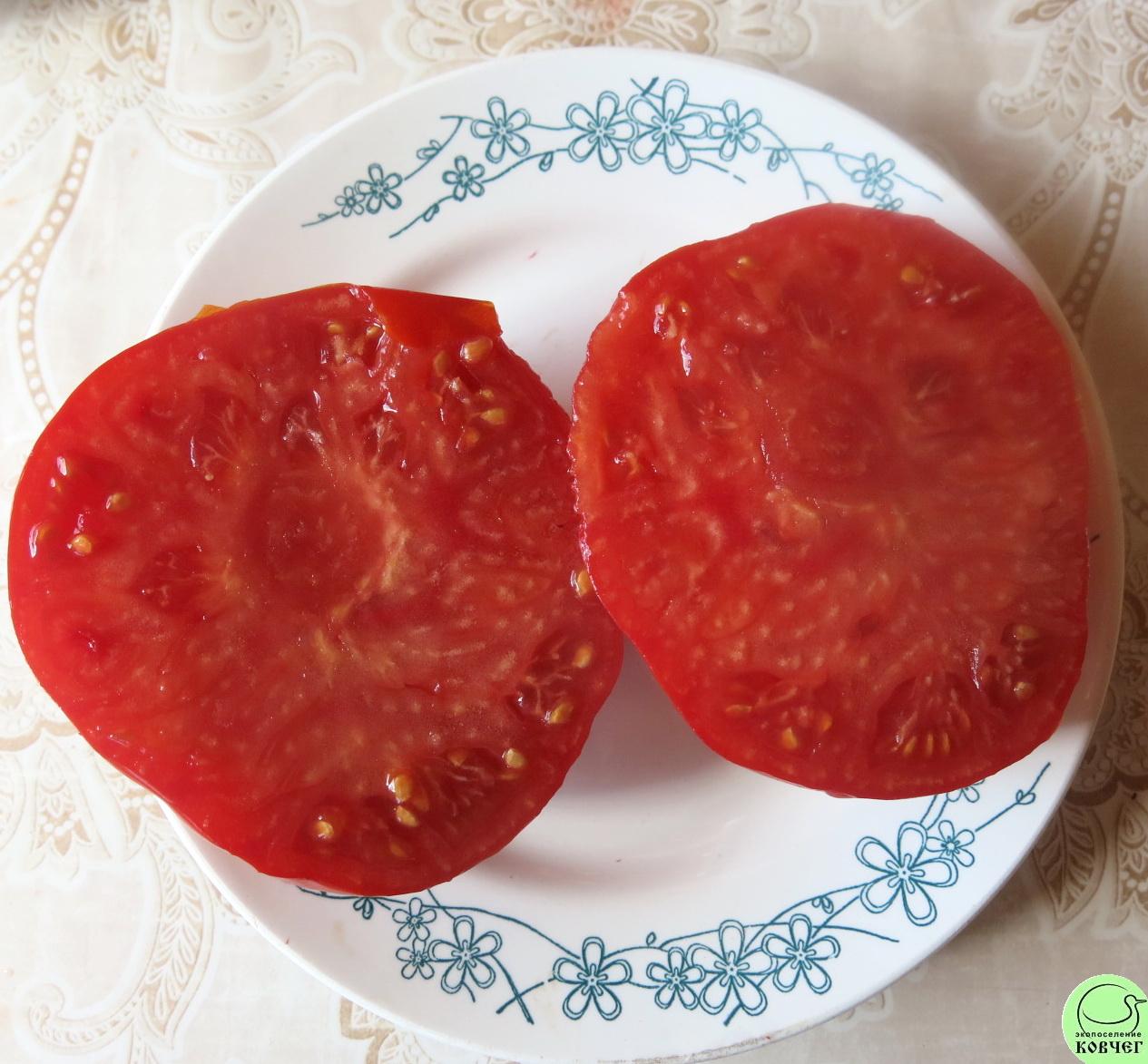 44 Родон (5) 2023г. Семена томата Родон