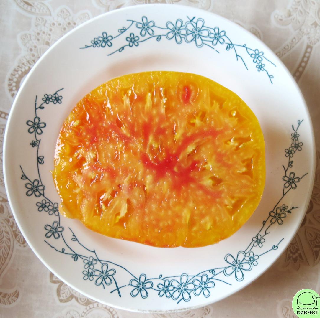 19 Медовый салют (5) 2024г. Семена томата Медовый салют