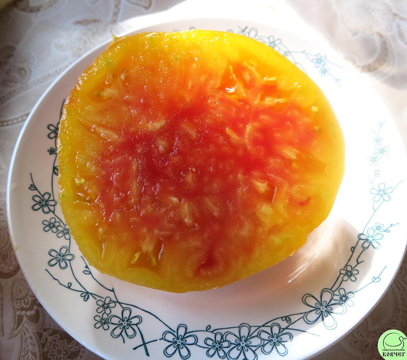 2 Страйпед Герман 2024г. Семена томата Немецкий полосатый