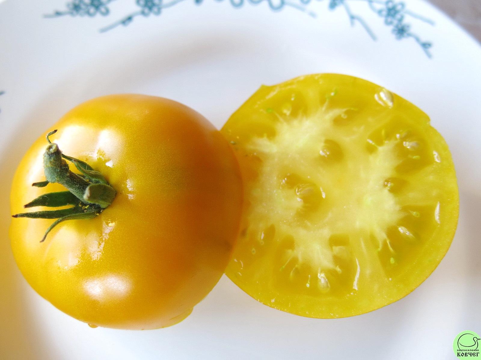 35 Золотистый №148 (7) 2025г. Семена томата Золотистый №148