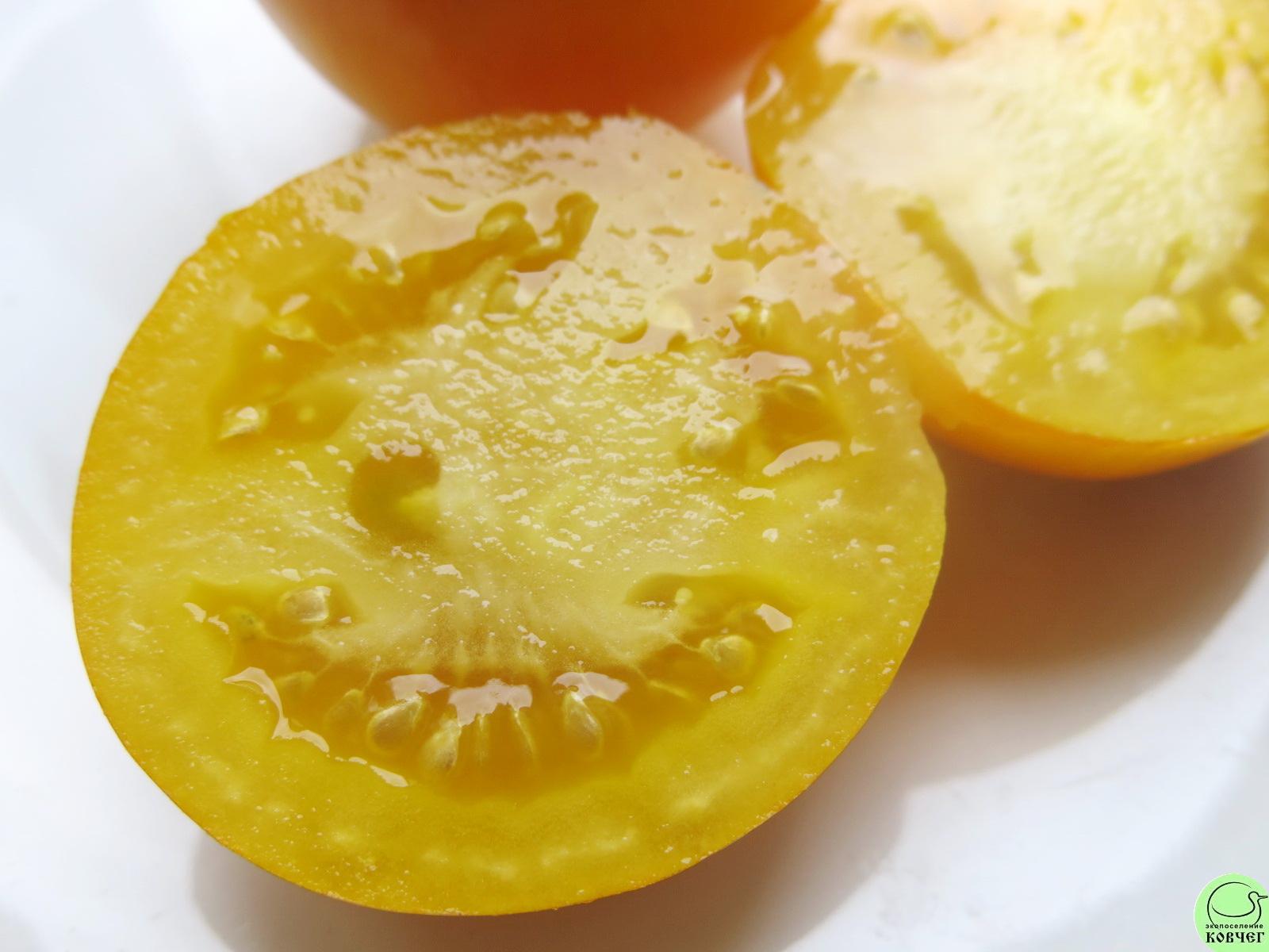 42 Полоски прошлого (6) 2018г. Семена томата Полоски прошлого