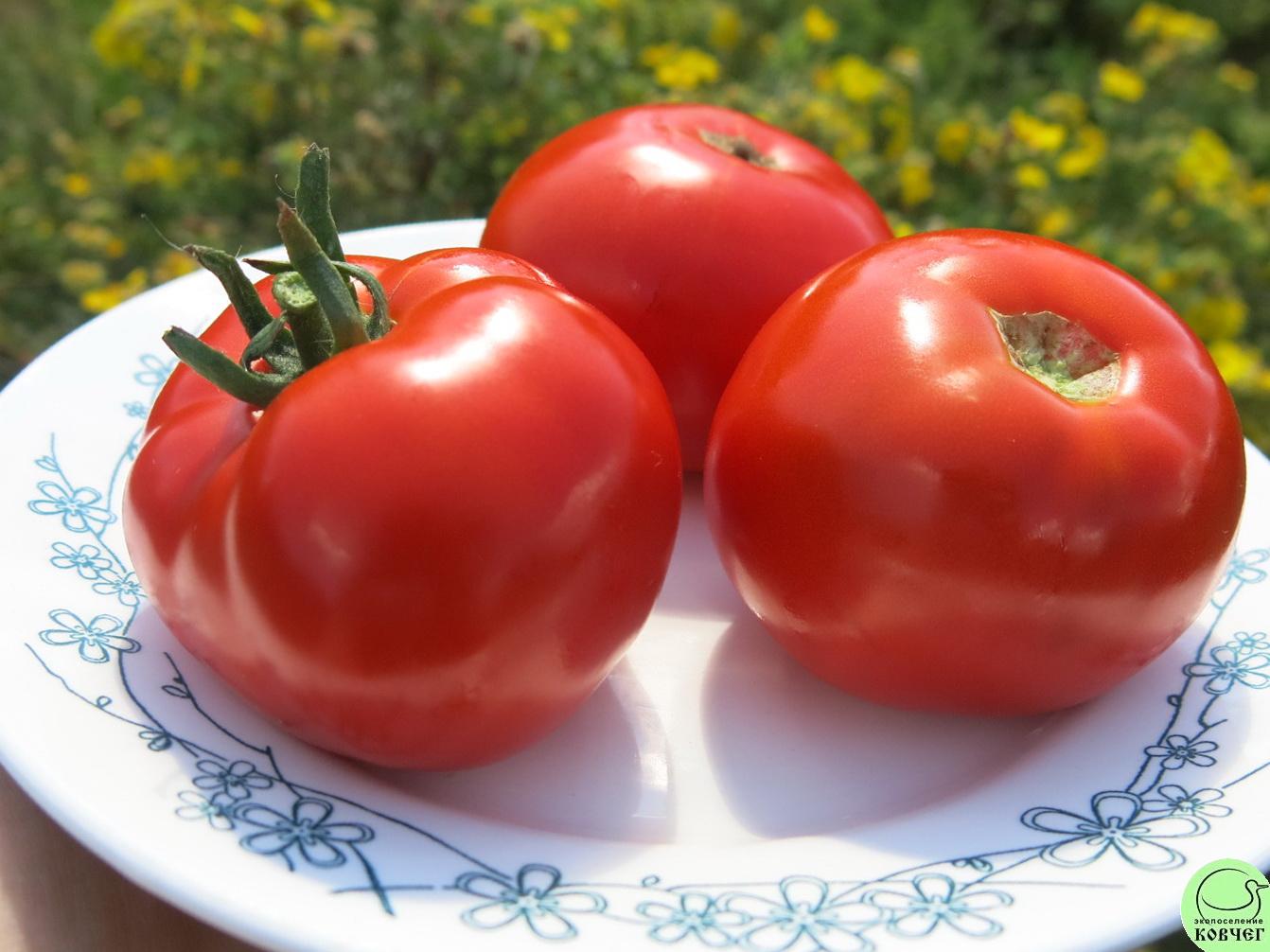 45 Сосед (11) 2024г. Семена томата Сосед