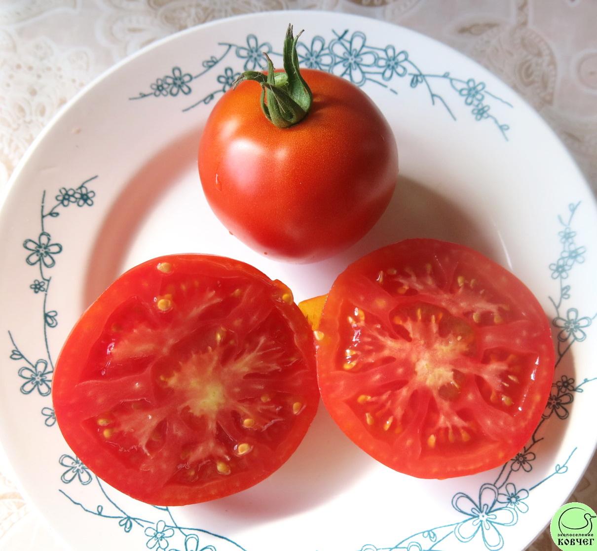 45 Сосед (5) 2024г. Семена томата Сосед