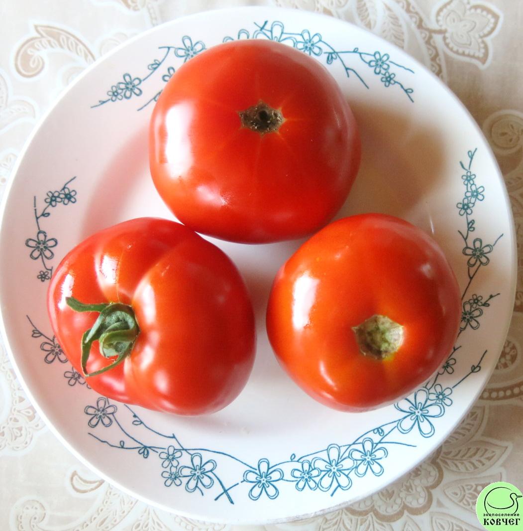 45 Сосед (9) 2024г. Семена томата Сосед