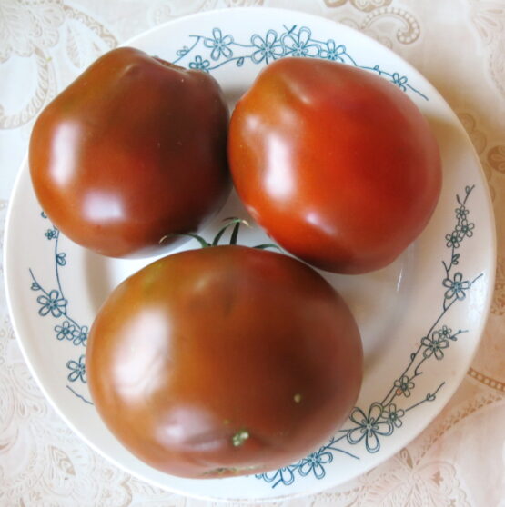 2023г. Семена томата Чёрный трюфель японский