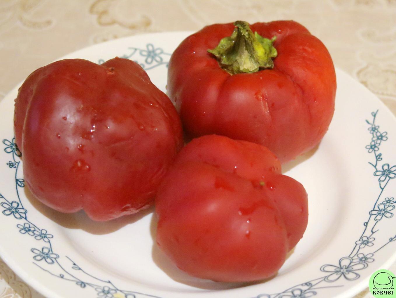 П Ю3 Радонеж (7) 2018г. Семена перца сладкого Радонеж (от Юли)