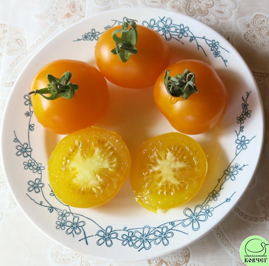 Ю4 Сластёна (5) 2024г. Семена томата Сластёна