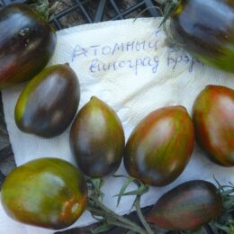 Семена томата Атомный Виноград Брэда
