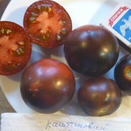 Семена томата Каштановый Шоколадный