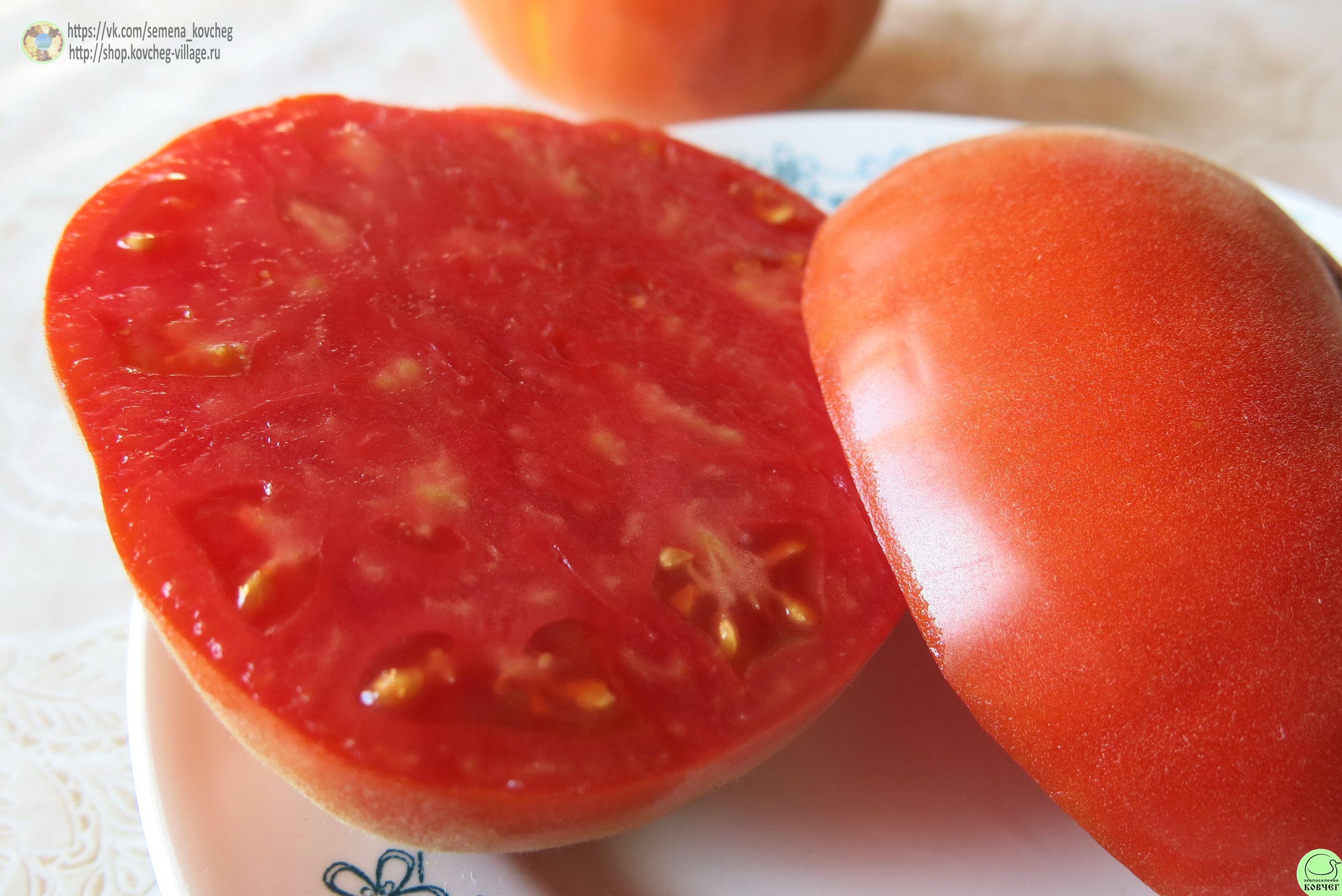 1. Абрикос (10) 2025г. Семена томата Абрикос