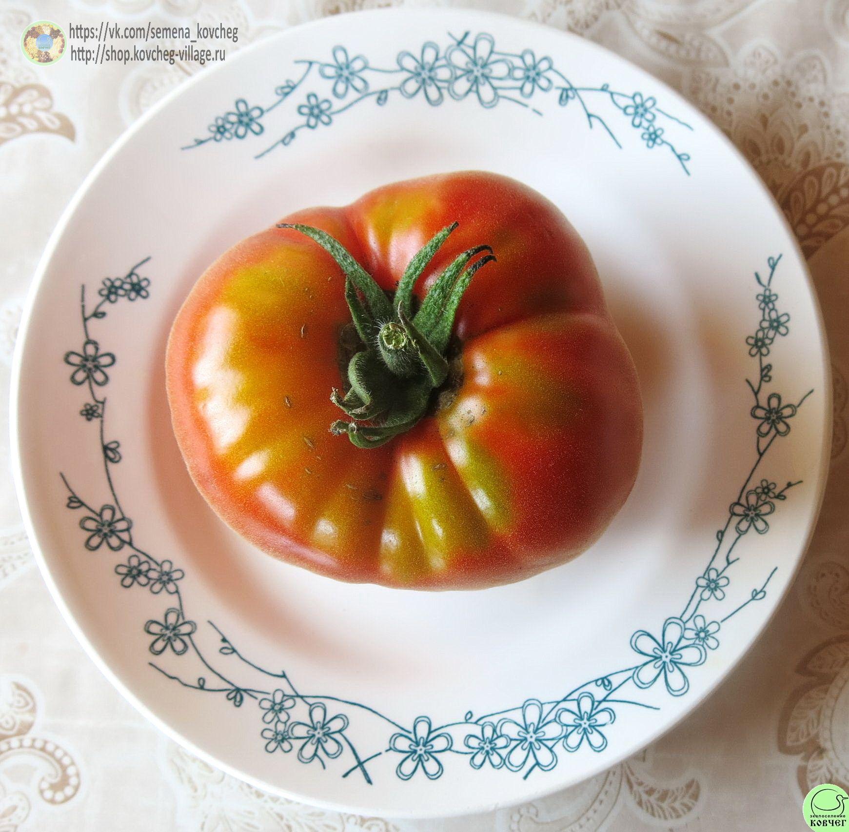 1. Абрикос (5) 2025г. Семена томата Абрикос