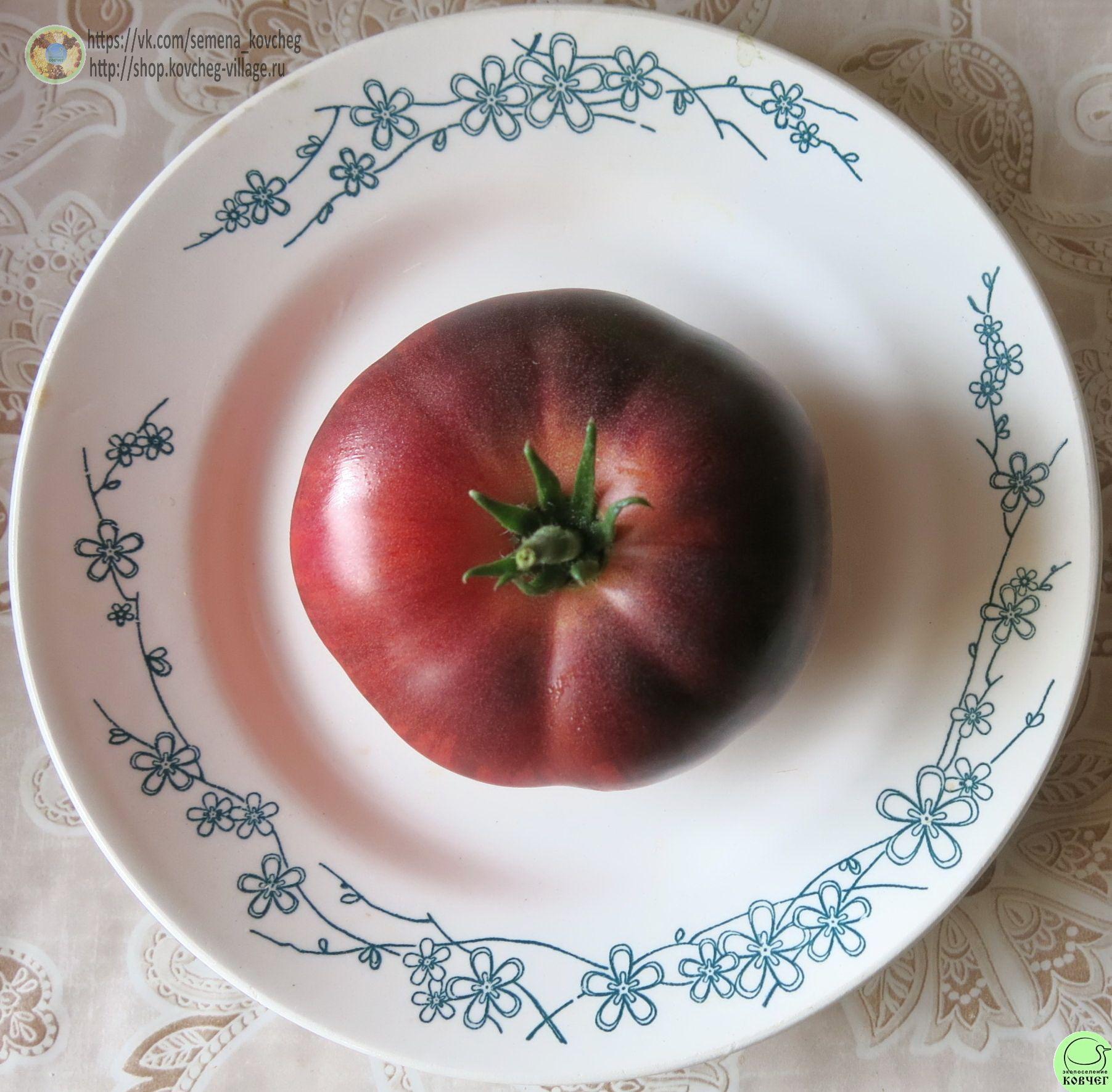 10. Гигант лазурный (14) 2025г. Семена томата Гигант лазурный