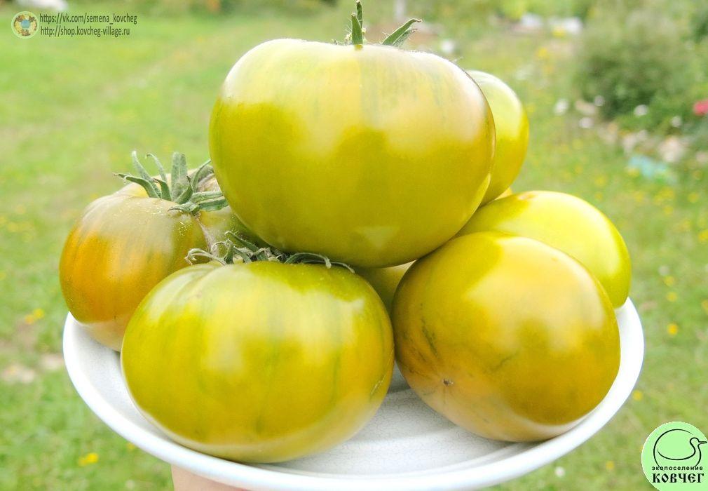 15. Изумрудное яблоко (7)_1 2019г. Семена томата Изумрудное яблоко