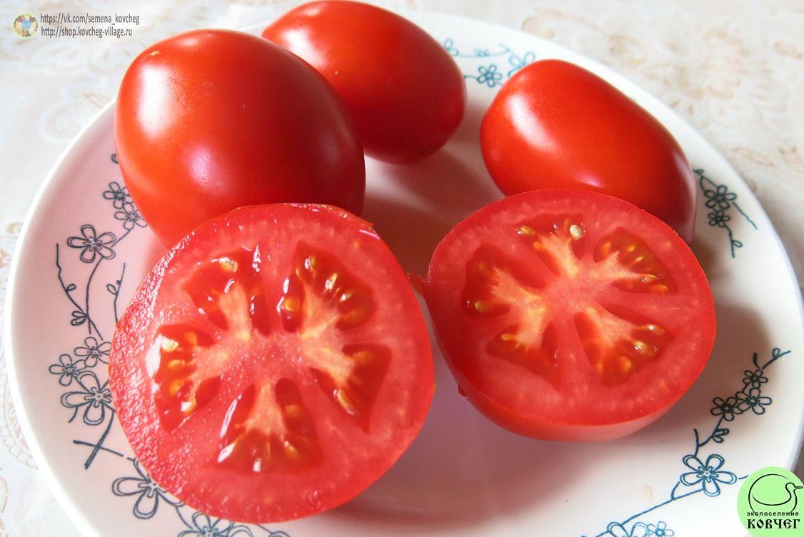 Кубышка томат отзывы