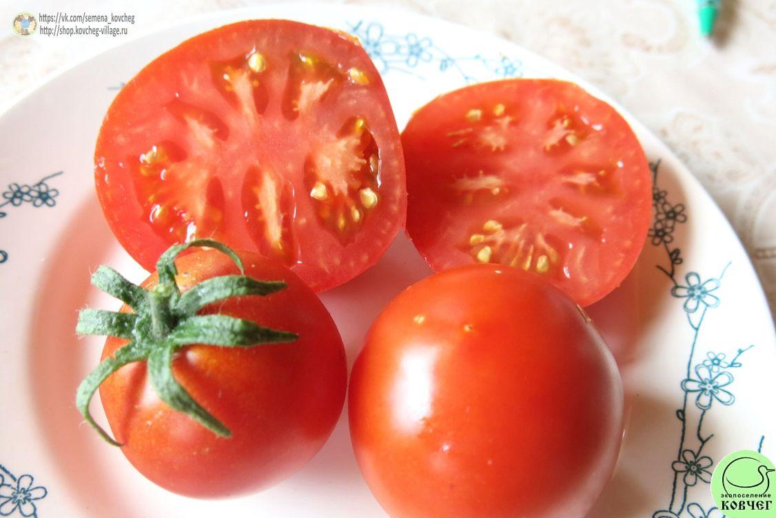 31. Народная скороспелка (5)_1 2019г. Семена томата Народная скороспелка