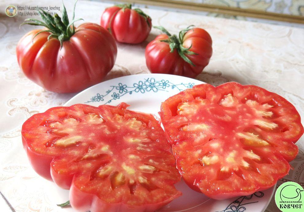 32. Пера (8)_1 2019г. Семена томата Пера