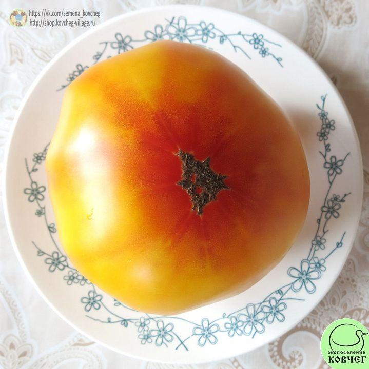 34. Полосатый синка (3)_1 2019г. Семена томата Полосатый синка