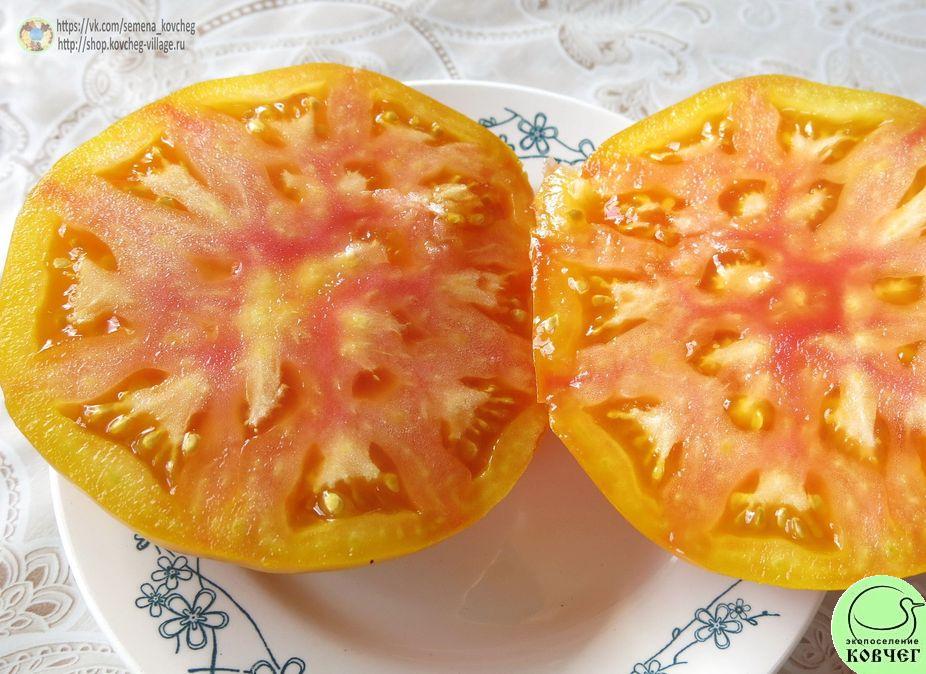 34. Полосатый синка (8)_1 2019г. Семена томата Полосатый синка