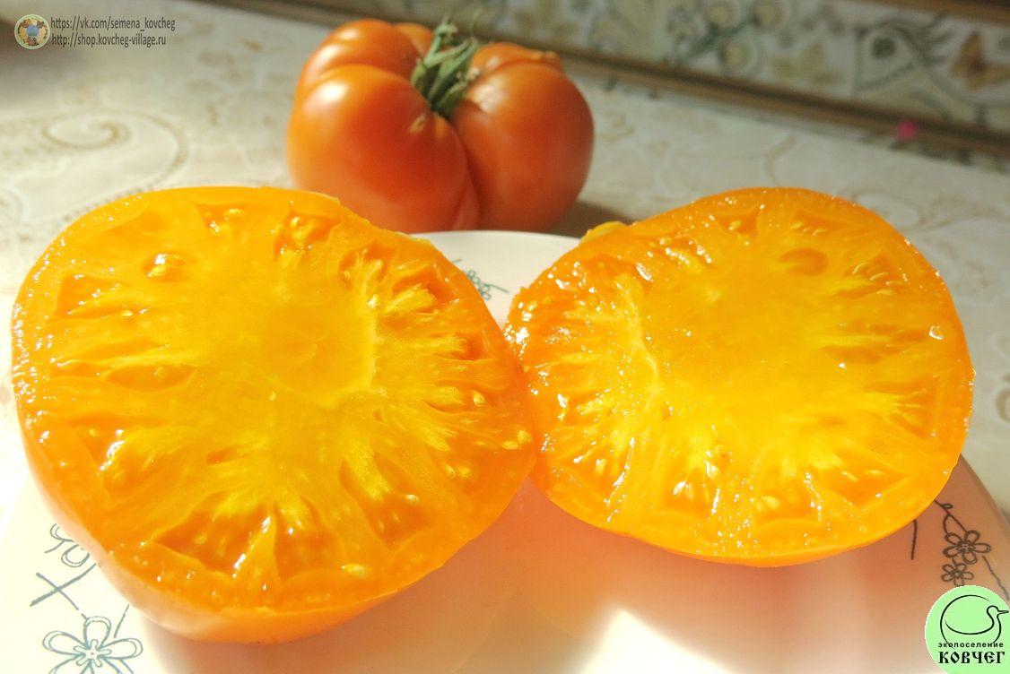 38. Саммер гидер -- (5)_1 2019г. Семена томата Летний сидр