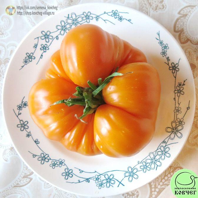 38. Саммер гидер (7)_1 2019г. Семена томата Летний сидр