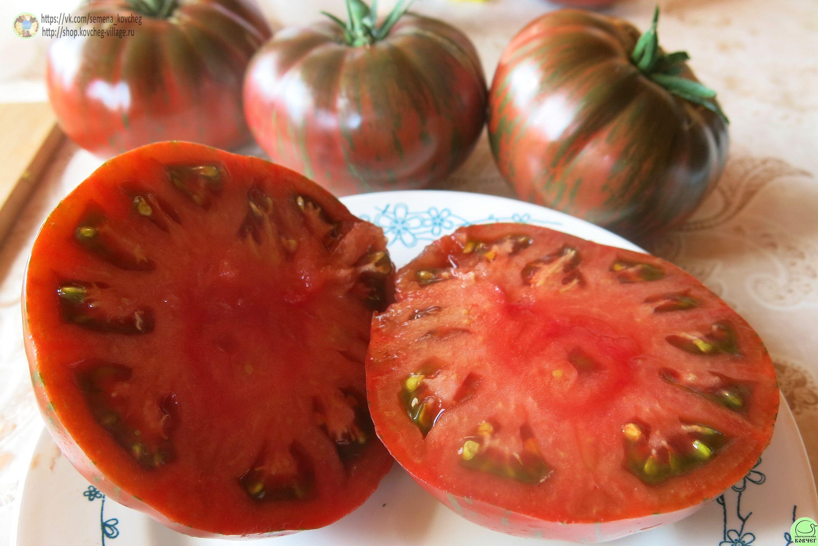 4. Барклай ти дай пинк (11) 2025г. Семена томата Бёркли тай-дай пинк