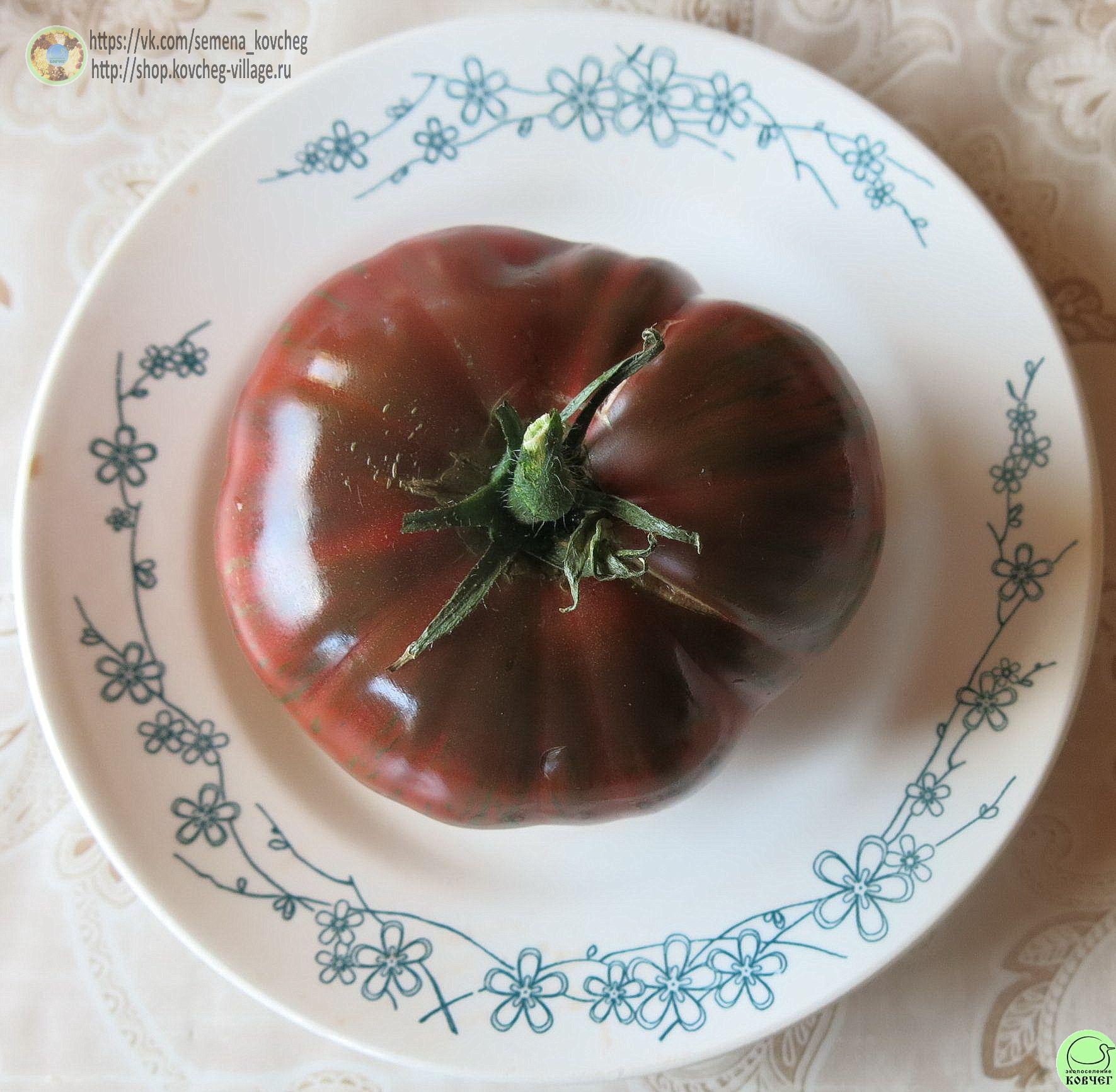 4. Барклай ти дай пинк (7) 2025г. Семена томата Бёркли тай-дай пинк