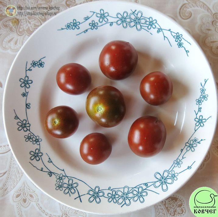 49. Чёрные черри (3)_1 2019г. Семена томата Чёрные черри